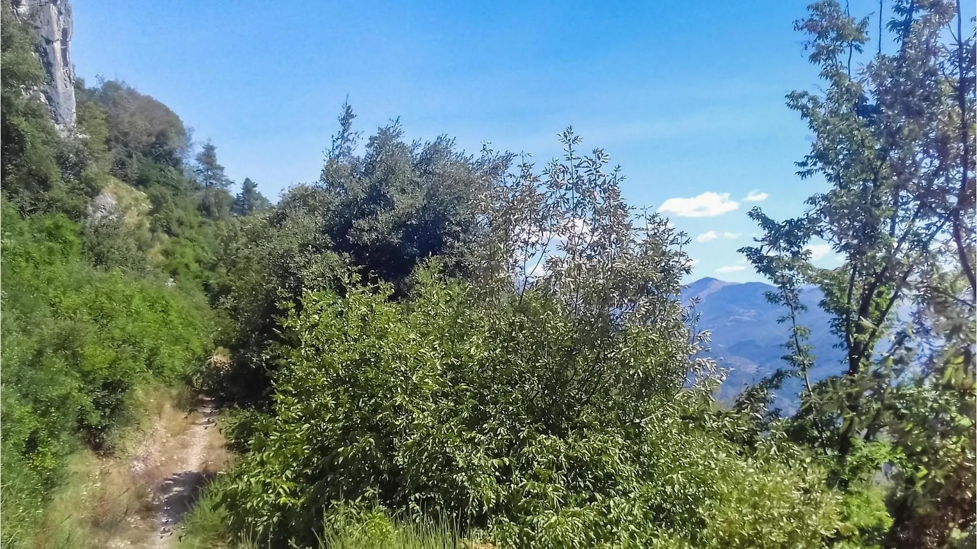 Pet Friendly Home In Bagni Di Lucca With Kitchen