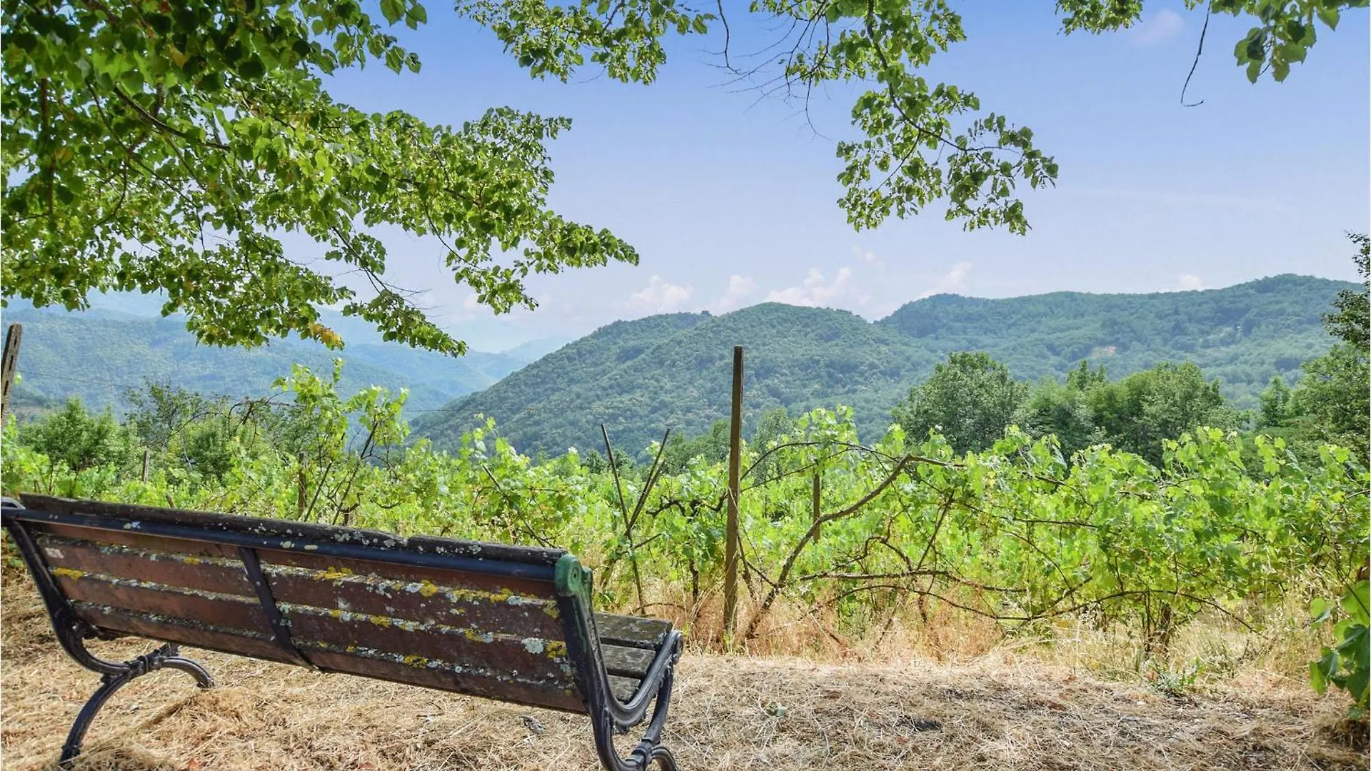 Pet Friendly Home In Bagni Di Lucca With Kitchen